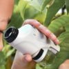 Handheld  Battery Powered  With LED Light Kids Science Microscope