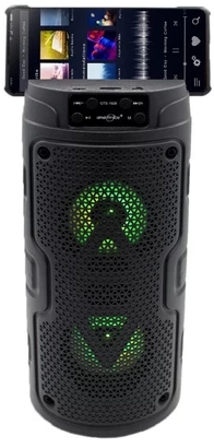 GTS-1926 Wireless Bluetooth Karoake Speaker with Mic