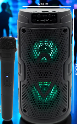 GTS-1926 Wireless Bluetooth Karoake Speaker with Mic